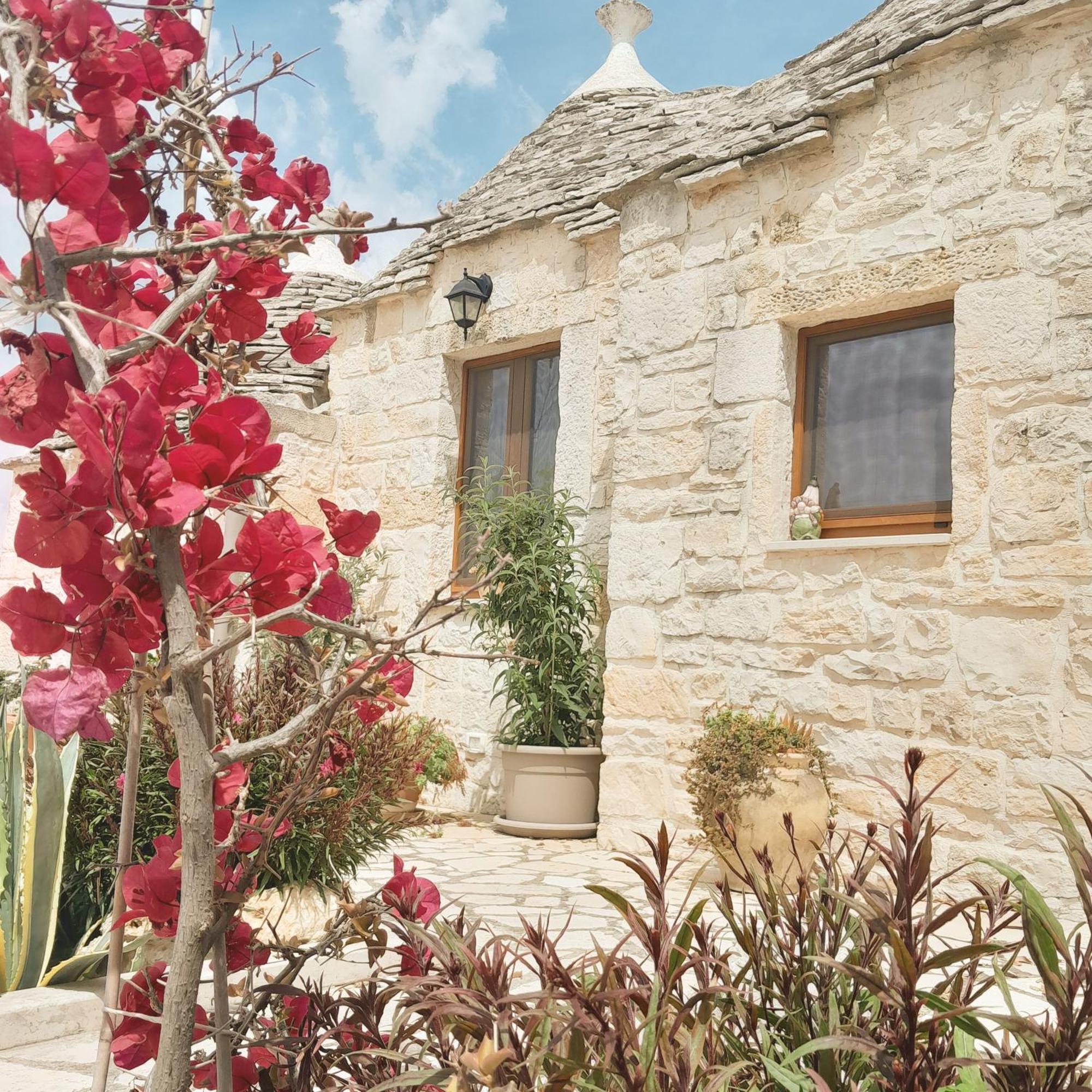 La Rosa Dei Trulli B&B 阿尔贝罗贝洛 外观 照片