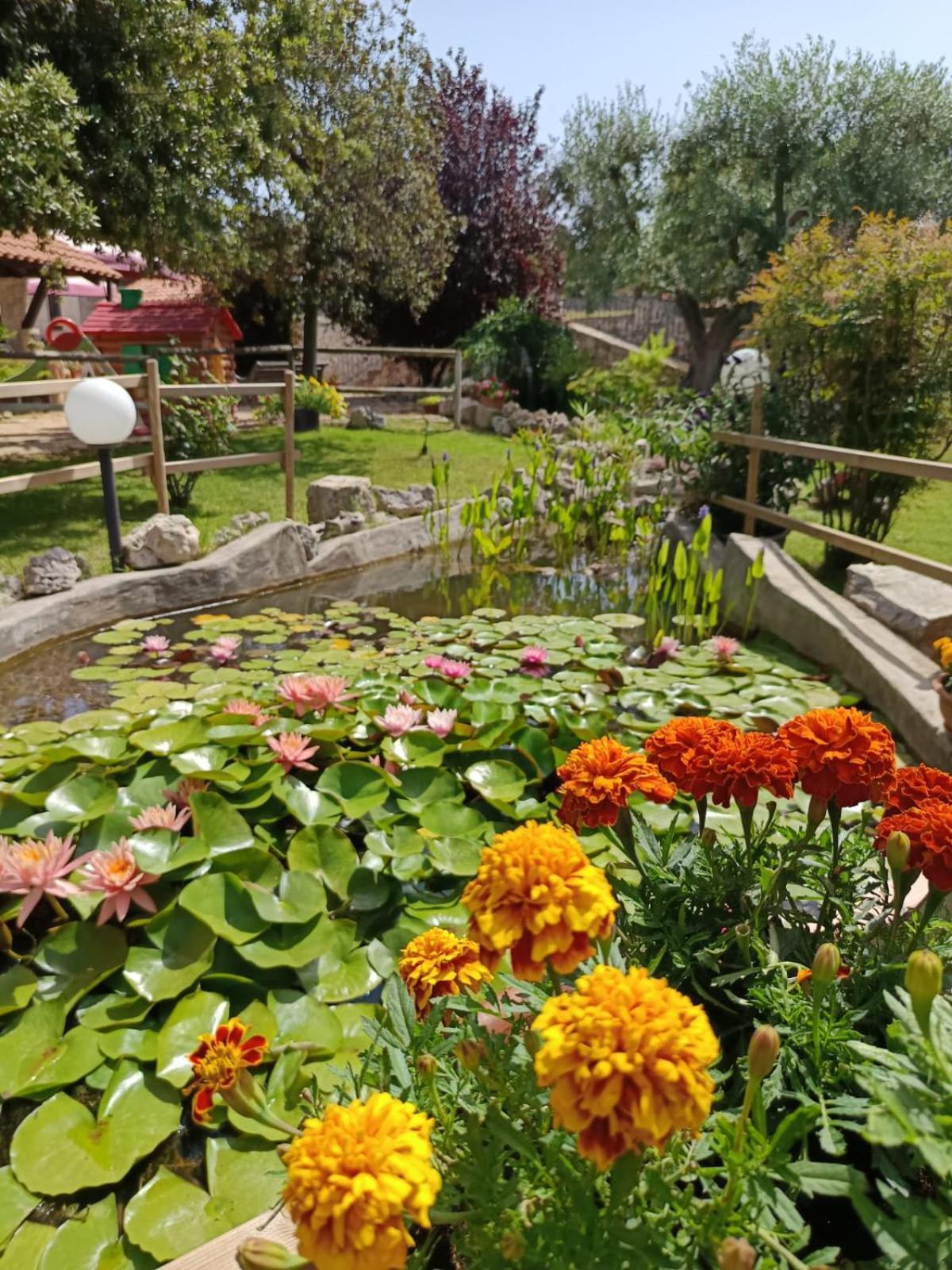 La Rosa Dei Trulli B&B 阿尔贝罗贝洛 外观 照片