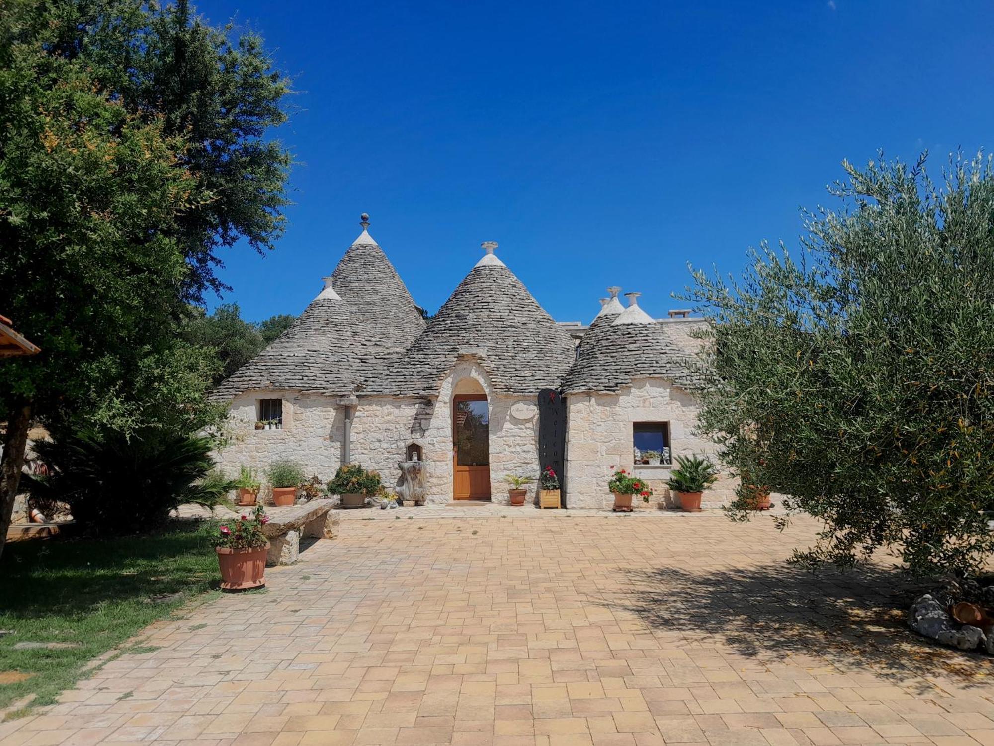 La Rosa Dei Trulli B&B 阿尔贝罗贝洛 外观 照片