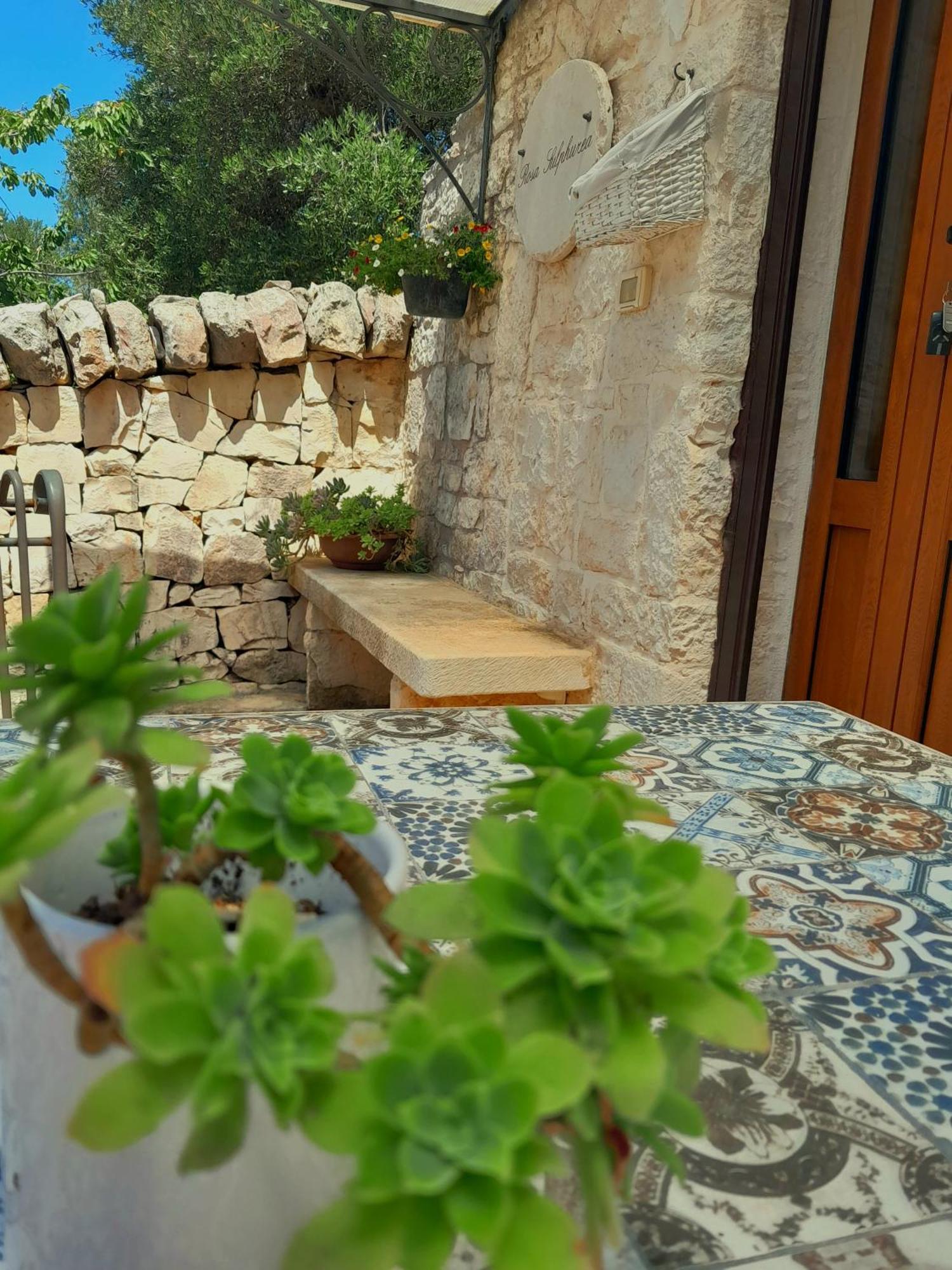 La Rosa Dei Trulli B&B 阿尔贝罗贝洛 外观 照片