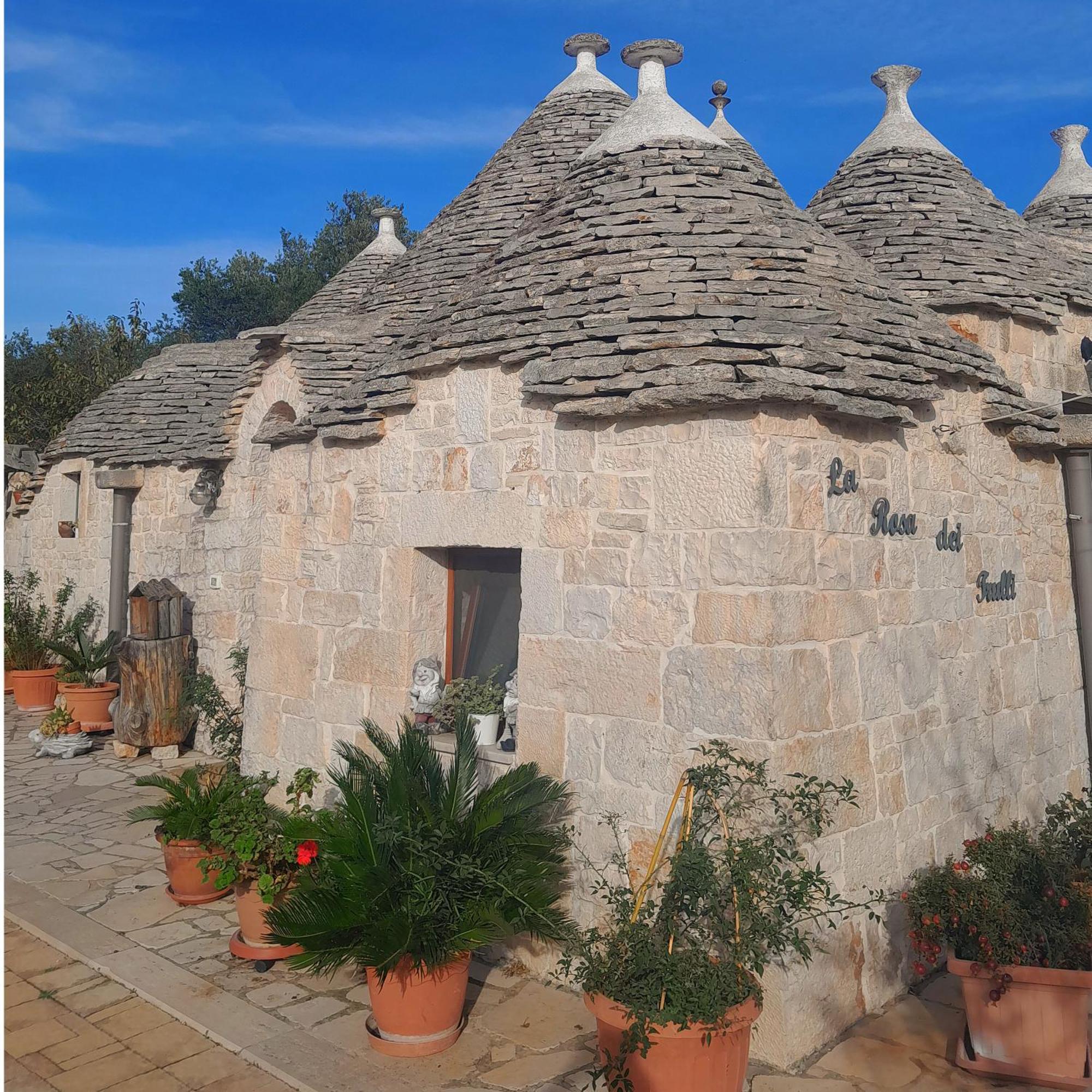 La Rosa Dei Trulli B&B 阿尔贝罗贝洛 客房 照片
