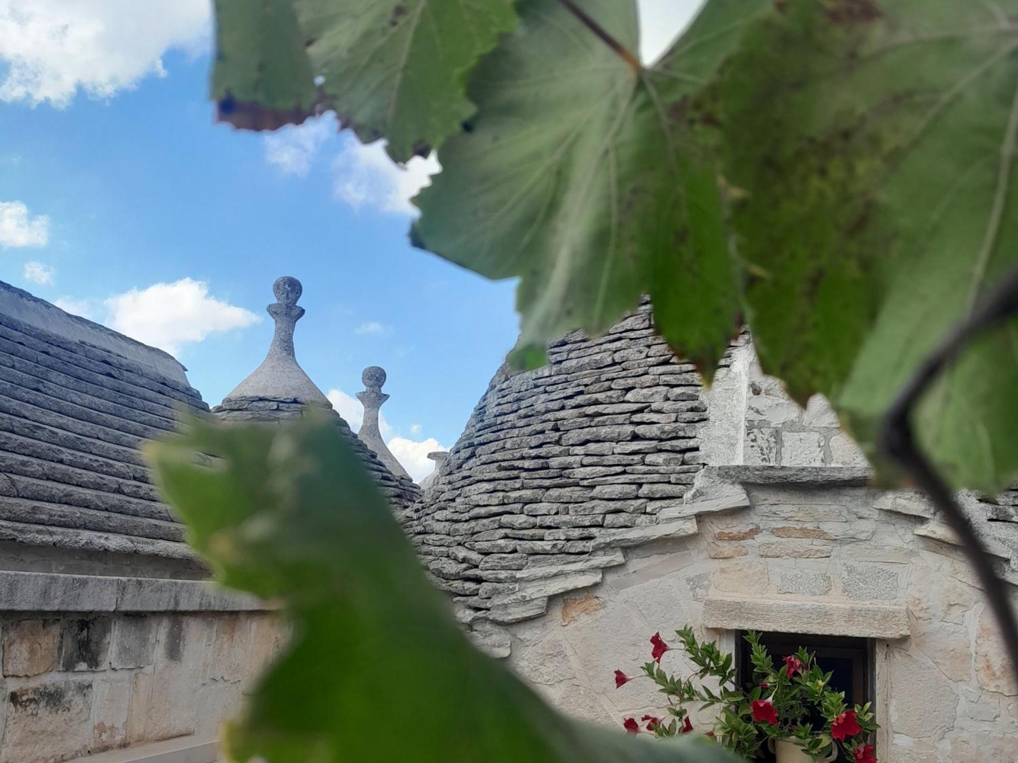 La Rosa Dei Trulli B&B 阿尔贝罗贝洛 外观 照片