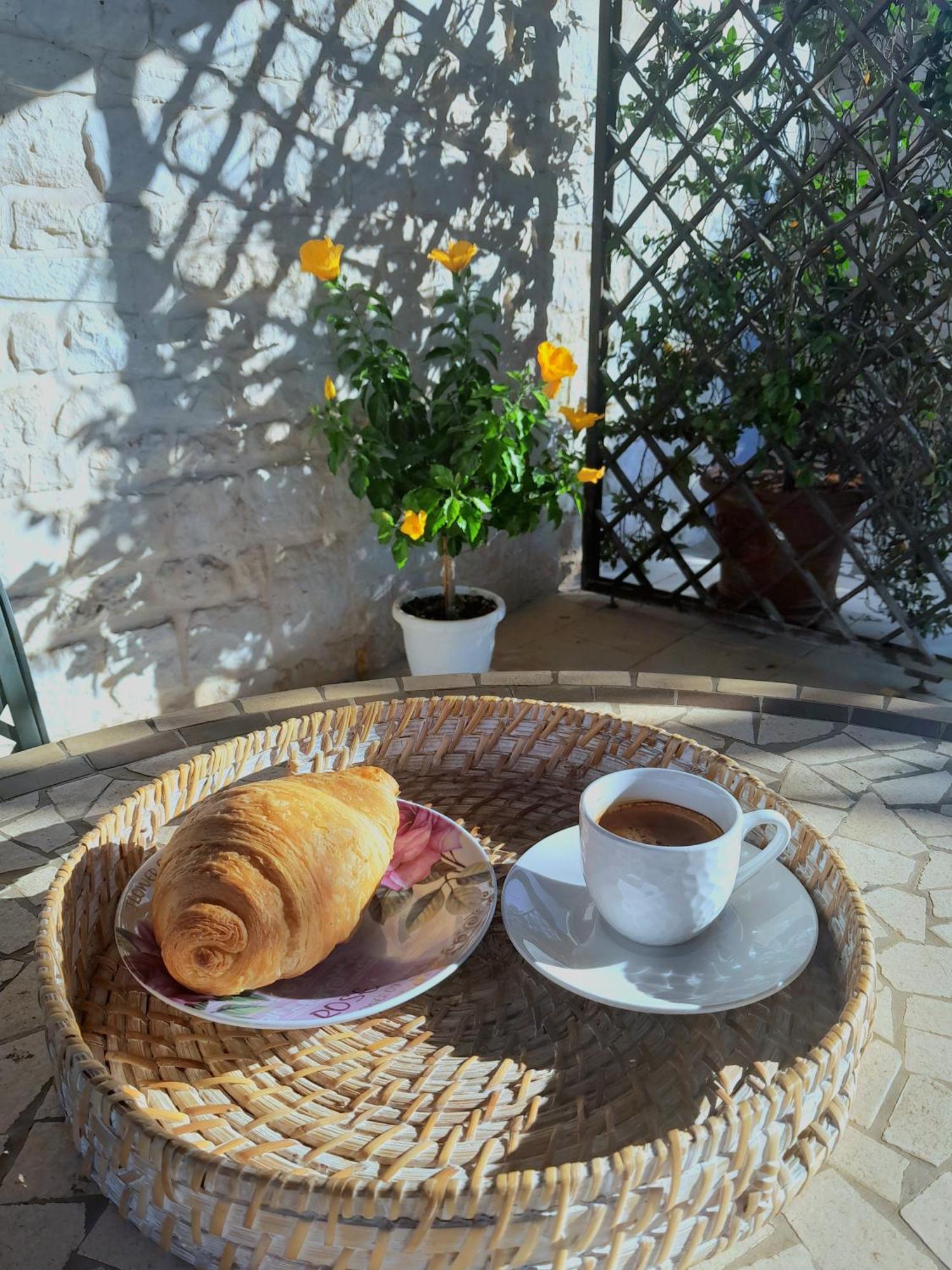 La Rosa Dei Trulli B&B 阿尔贝罗贝洛 外观 照片
