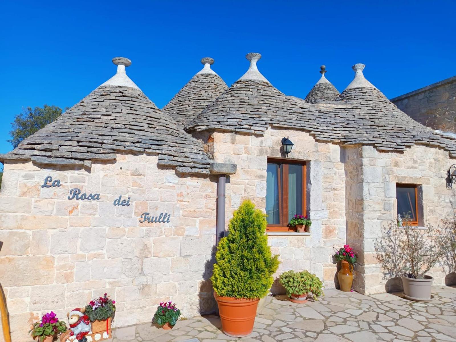 La Rosa Dei Trulli B&B 阿尔贝罗贝洛 外观 照片
