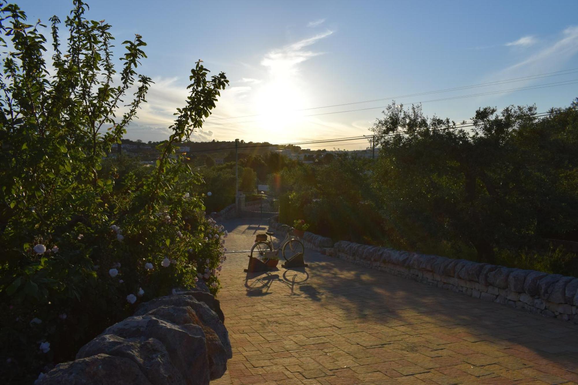 La Rosa Dei Trulli B&B 阿尔贝罗贝洛 外观 照片