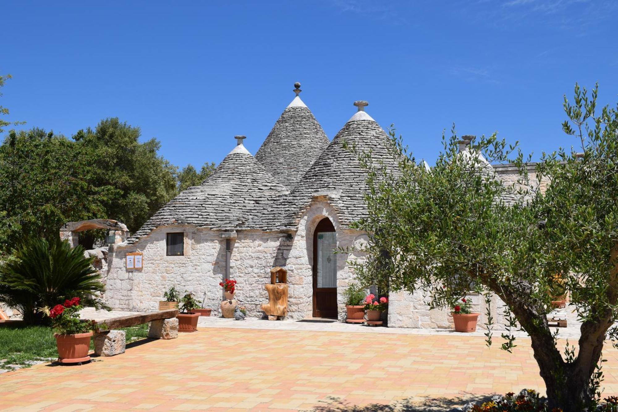 La Rosa Dei Trulli B&B 阿尔贝罗贝洛 外观 照片