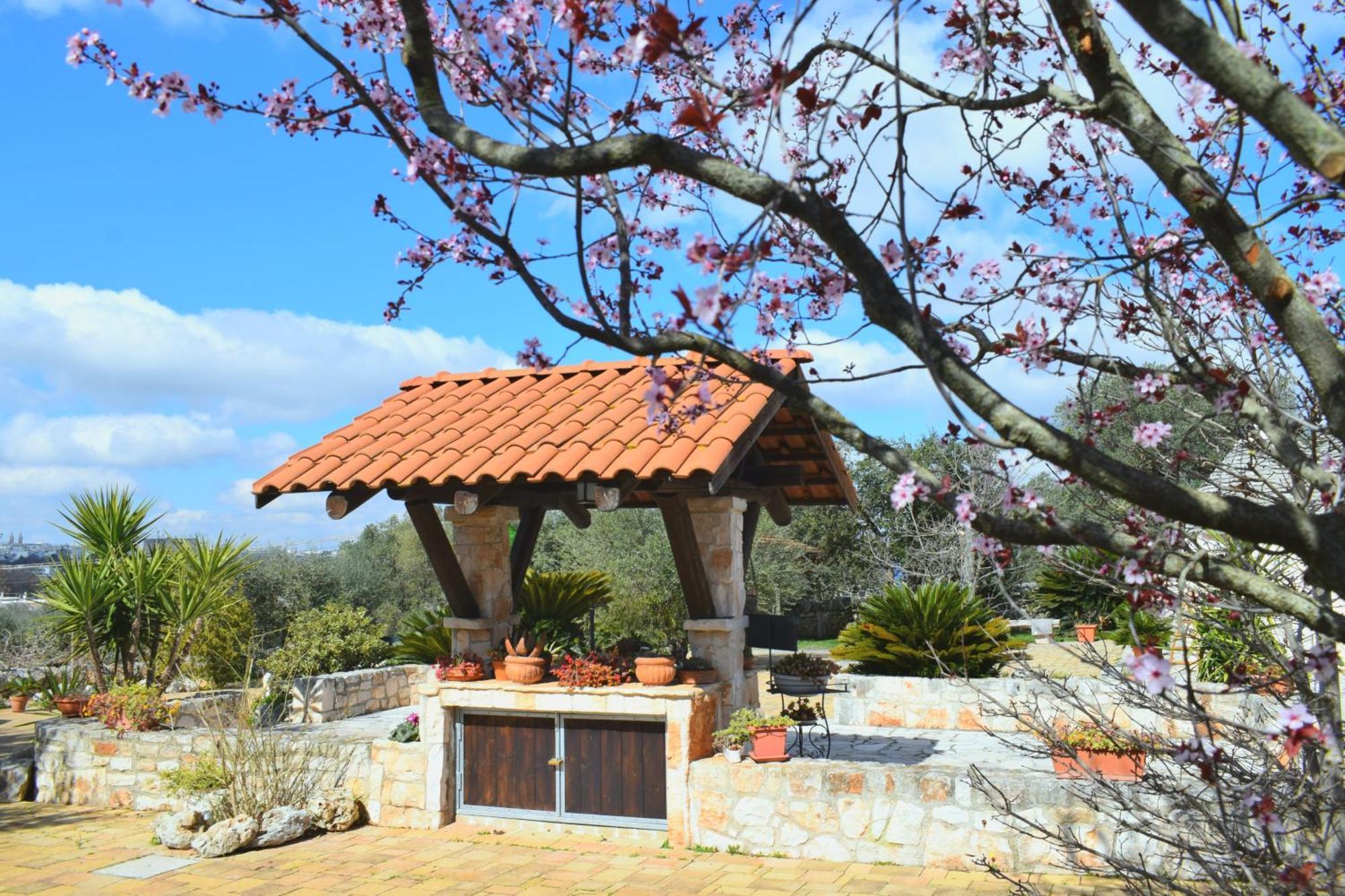 La Rosa Dei Trulli B&B 阿尔贝罗贝洛 外观 照片